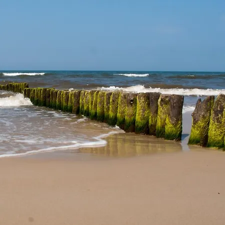 Проживание в семье Nostalgia Гонски