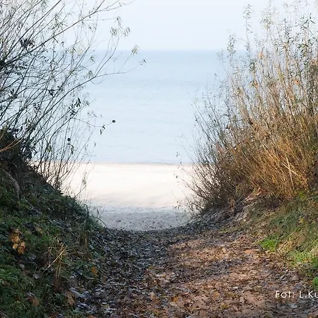 Проживание в семье Nostalgia *